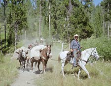 Beard Mountain Ranch Pack String