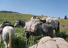 Pack Trips with Beard Mountain Ranch