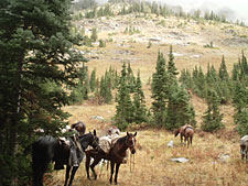 Beard Outfitters in Teton Valley, Idaho