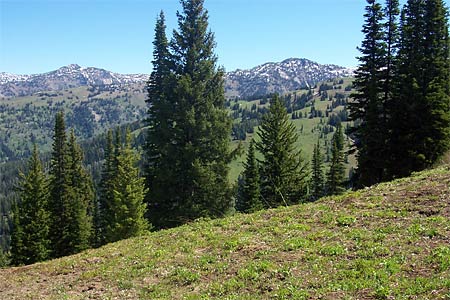 Beaver Creek Trail Ride